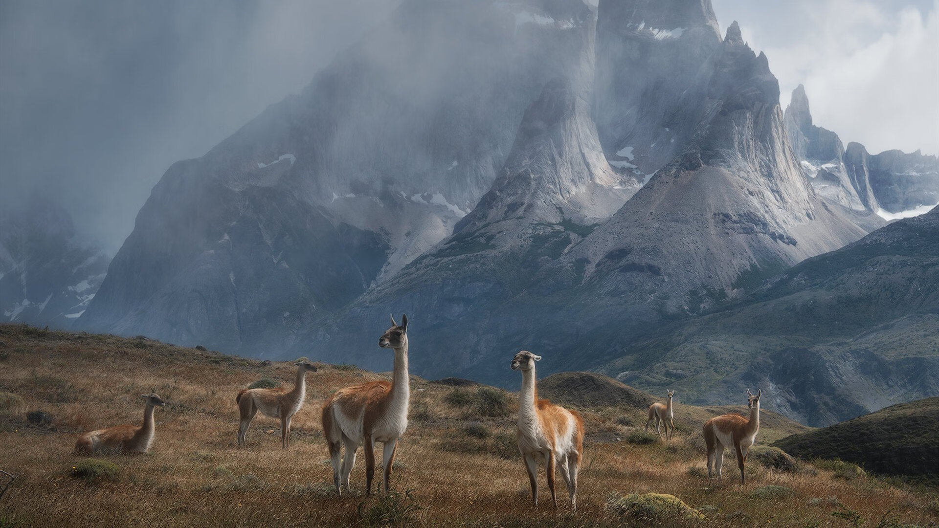 Kaiyun官方登录入口-捷克队晋级欧洲杯八强,年轻球员崭露头角,捷克欧洲杯足球队