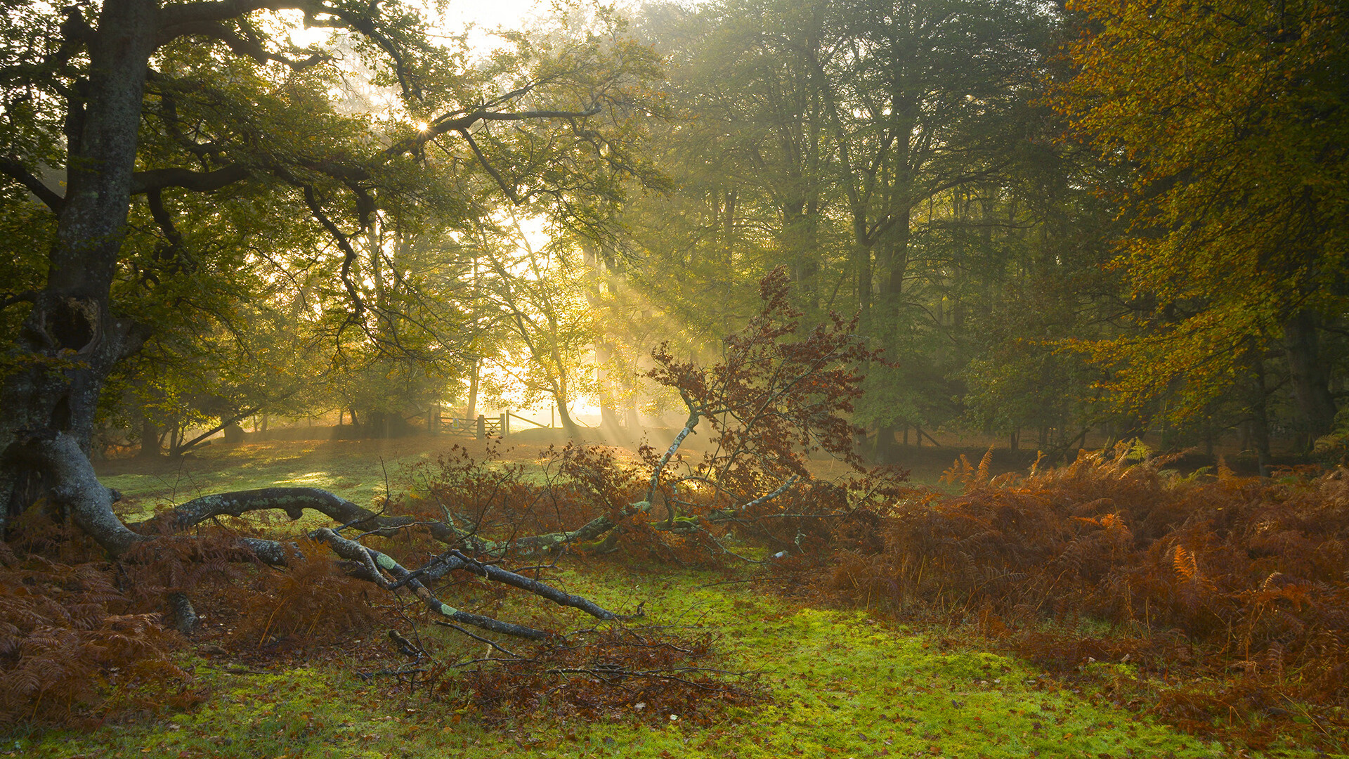kaiyun体育app-普利茅斯打破客场尴尬纪录,战胜斯坎索普联,走出连败阴影,普利矛斯