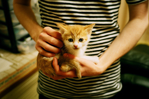 kaiyun登录入口-欧洲杯预选赛中的精彩时刻:全场观众欢腾不已,欧洲杯预选赛情况