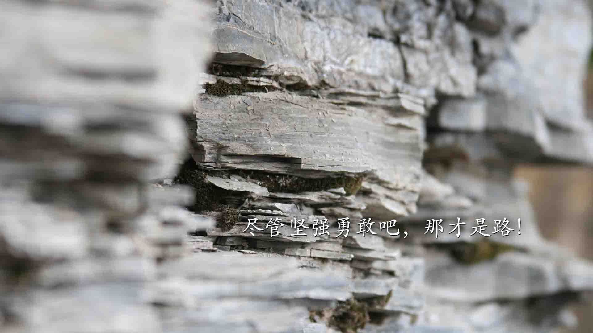 开云kaiyun-篮球运动员心理辅导体系建设,篮球运动员心理素质的重要性