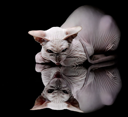 kaiyun体育app-联盟是否应评估球员海外交流项目成效,联盟是否应评估球员海外交流项目成效的原因