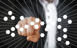 开云网站-智能体育教学平台功能需求分析，智能体育运动平台