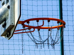 开云kaiyun-篮球专项技能动作运动控制机制分析与应用,篮球运动主要技术动作方法及其运用