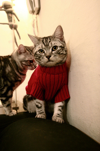 开云官方网页登录-篮球运动员竞技状态实时监控与调节技术,篮球运动员竞技能力四要素