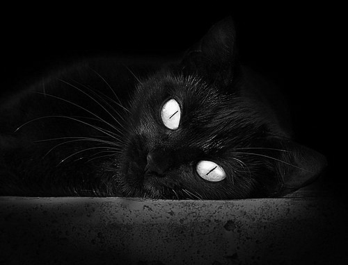 kaiyun中国官方网站-英超球队基于运动表现数据调整赛中体能分配策略,英超球员跑动数据