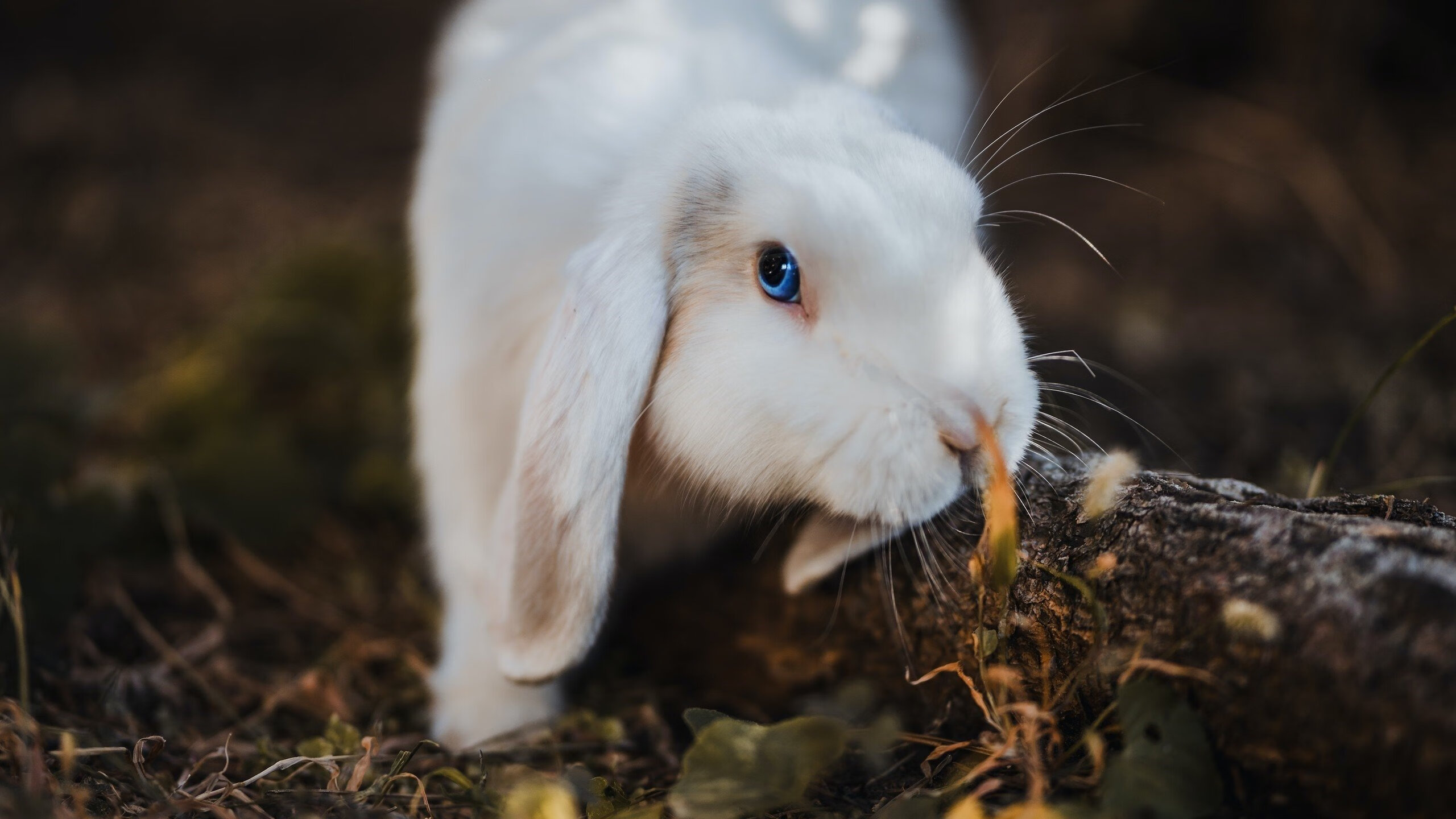 开云体育-体育新闻中心发布体育内容质量监测指标体系,体质监测新闻稿