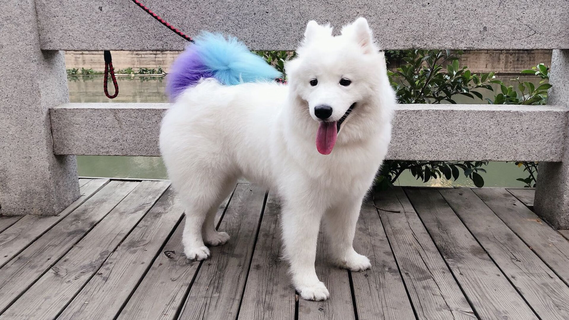 kaiyun登录入口-山西龙狮赛季总结目标新赛季再创佳绩，2021龙狮大赛