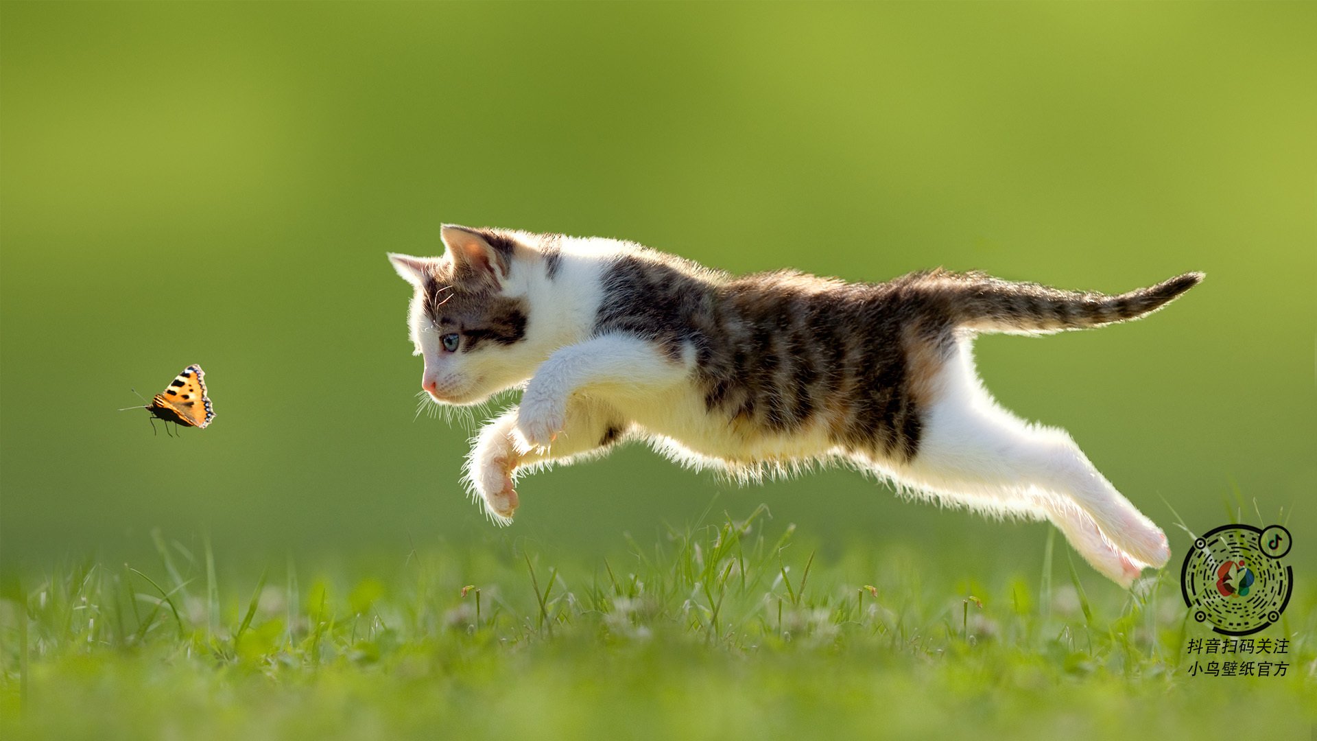 开云官方网站-自由式滑雪赛事成绩突出,自由式滑雪世界锦标赛