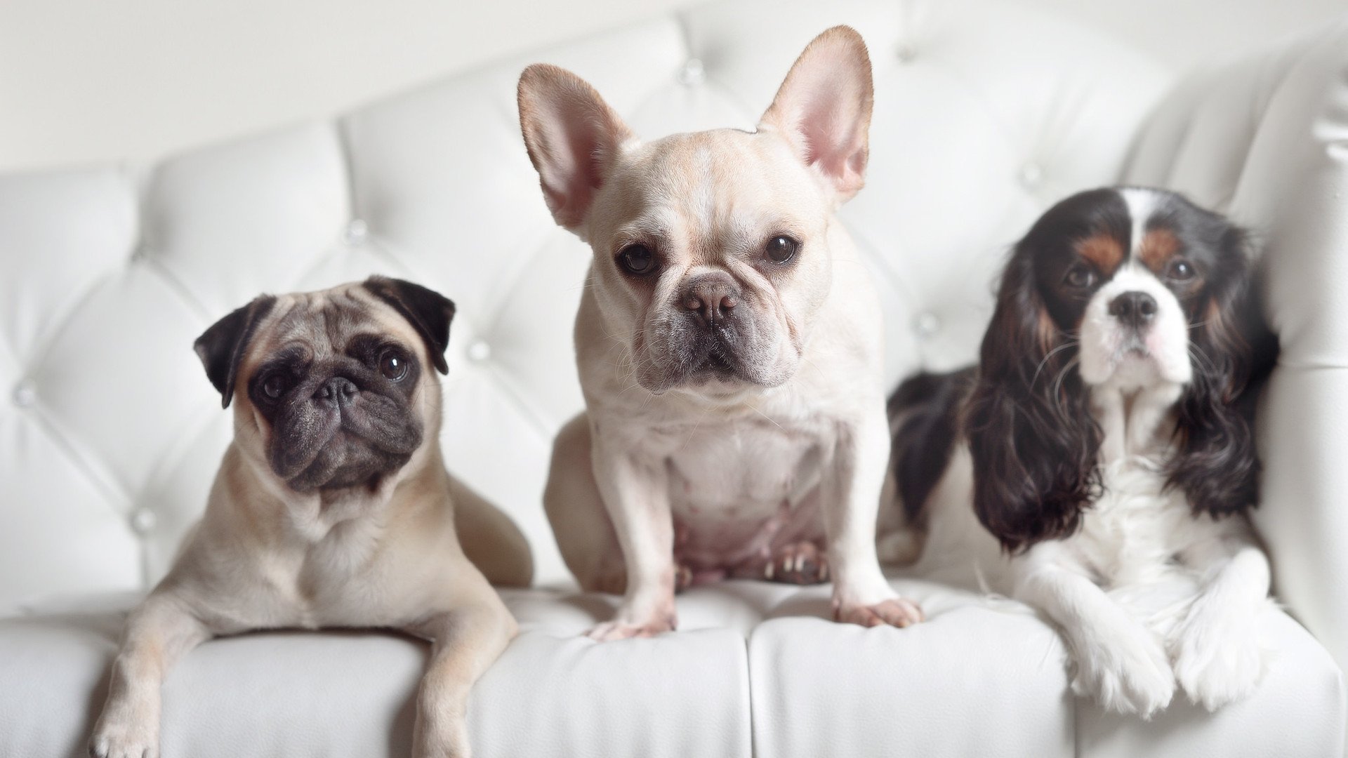 kaiyun.com-意甲球队的防守体系演变,意甲防守强度