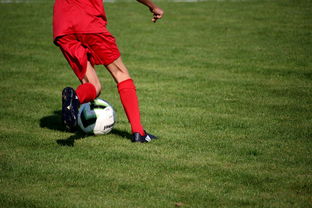 kaiyun官方网站-西甲联赛的球员科学训练体系,西甲联赛的球员科学训练体系怎么样