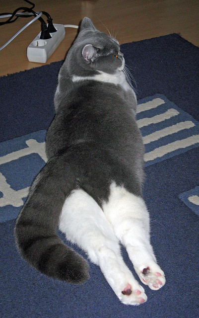 开云中国大陆-陈艺文:突破自我是最大胜利,陈艺文夺冠